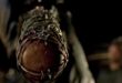 No Walking Dead Spoilers